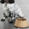 Bol cerámico antivuelco para mascotas Cane Mason Cash