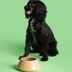 Bol cerámico antivuelco para mascotas Cane Mason Cash