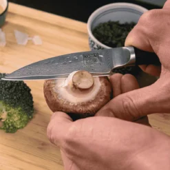 Cuchillos de acero damasco japonés Pakka Damas Kotai