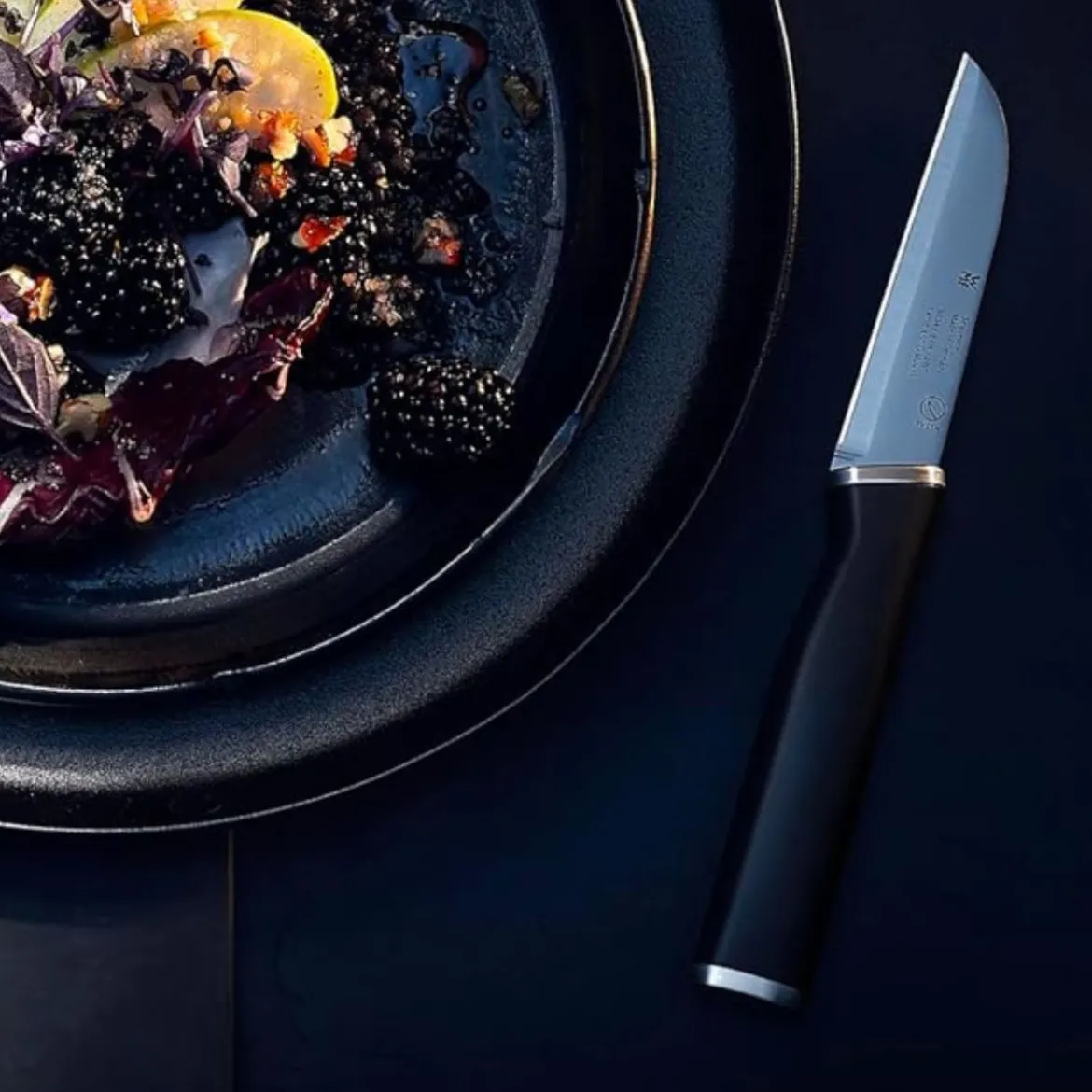Cuchillos de cocina Kineo WMF
