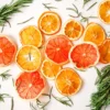 Deshidratador de alimentos WMF