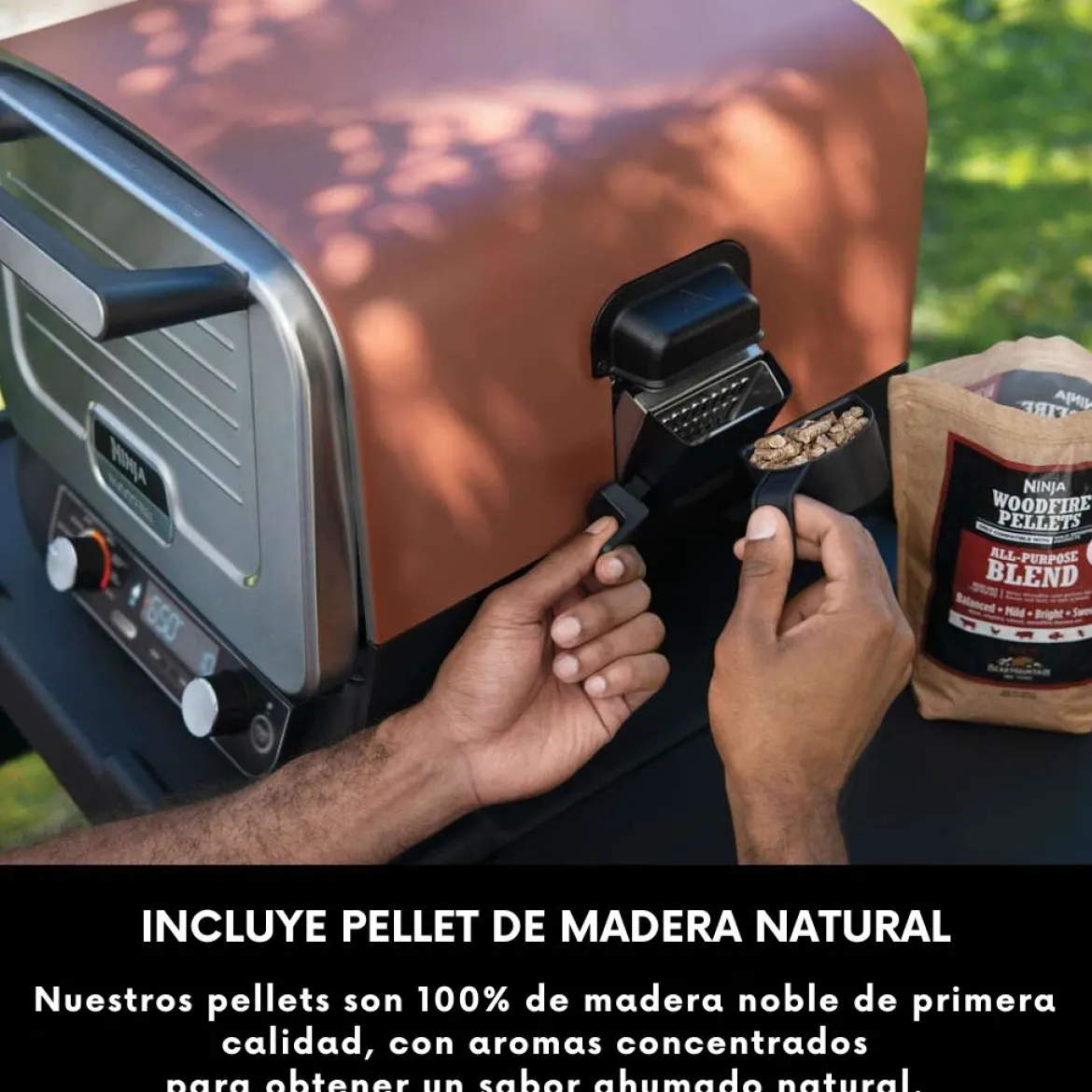 Horno eléctrico exterior de pellet Woodfire Ninja®