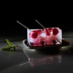 Moldes para cubitos de hielo cuadrados Ice Former de Lurch