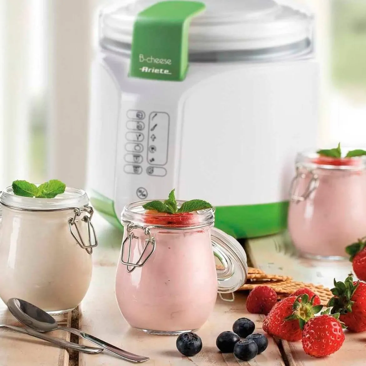 Máquina para hacer queso y yogur Ariete