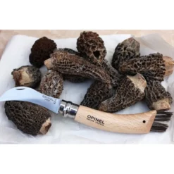 Navaja para setas Opinel Nº8