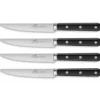 Set 4 cuchillos para carne Egide Sabatier®