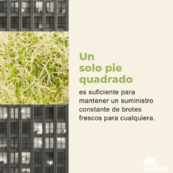 Set de 2 tapas de silicona para germinar semillas Food Huggers