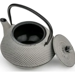 Tetera de hierro fundido Jang Bredemeijer